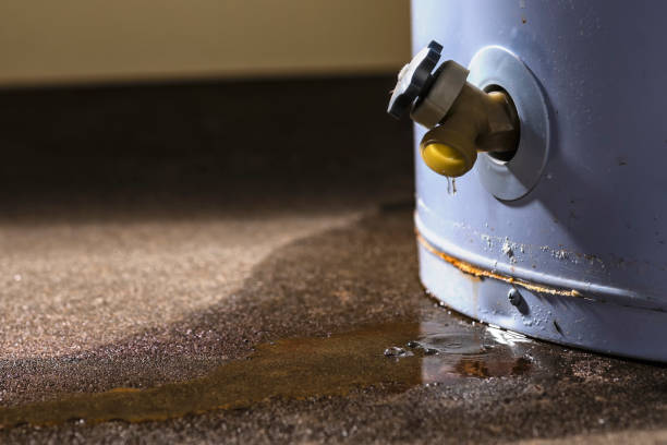 Best Mold removal after water damage  in Lakes West, CT