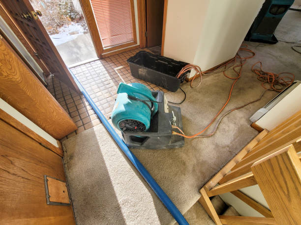 Best Emergency water damage restoration  in Lakes West, CT
