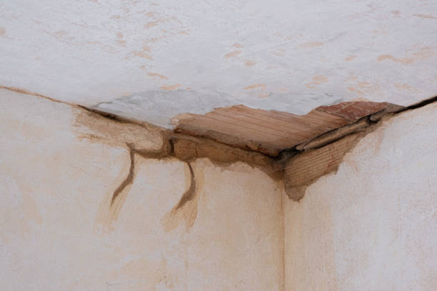 Best Basement water damage restoration  in Lakes West, CT
