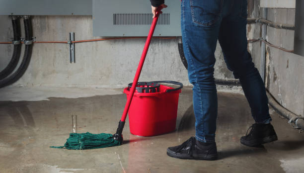 Best Professional water damage repair  in Lakes West, CT