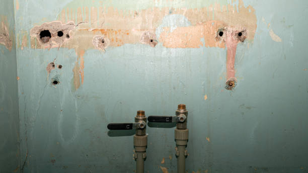 Best 24-hour water damage restoration  in Lakes West, CT