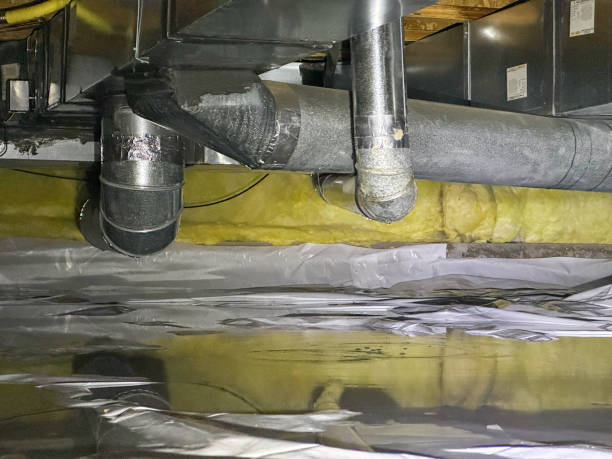 Best Ceiling water damage repair  in Lakes West, CT