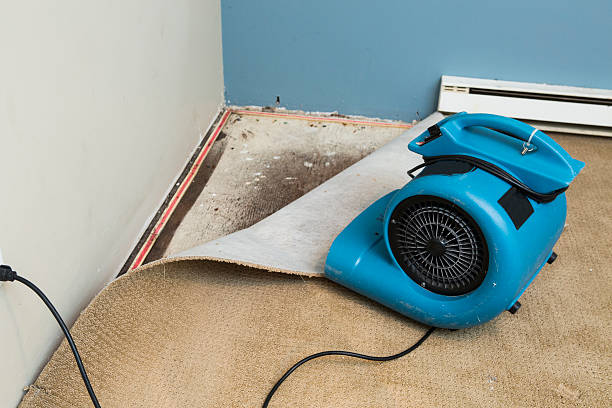 Lakes West, CT Water damage restoration Company
